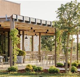 Luxury Villa Estate with 3 Pools on Istrian Vineyards near Bale, sleeps 56-60
